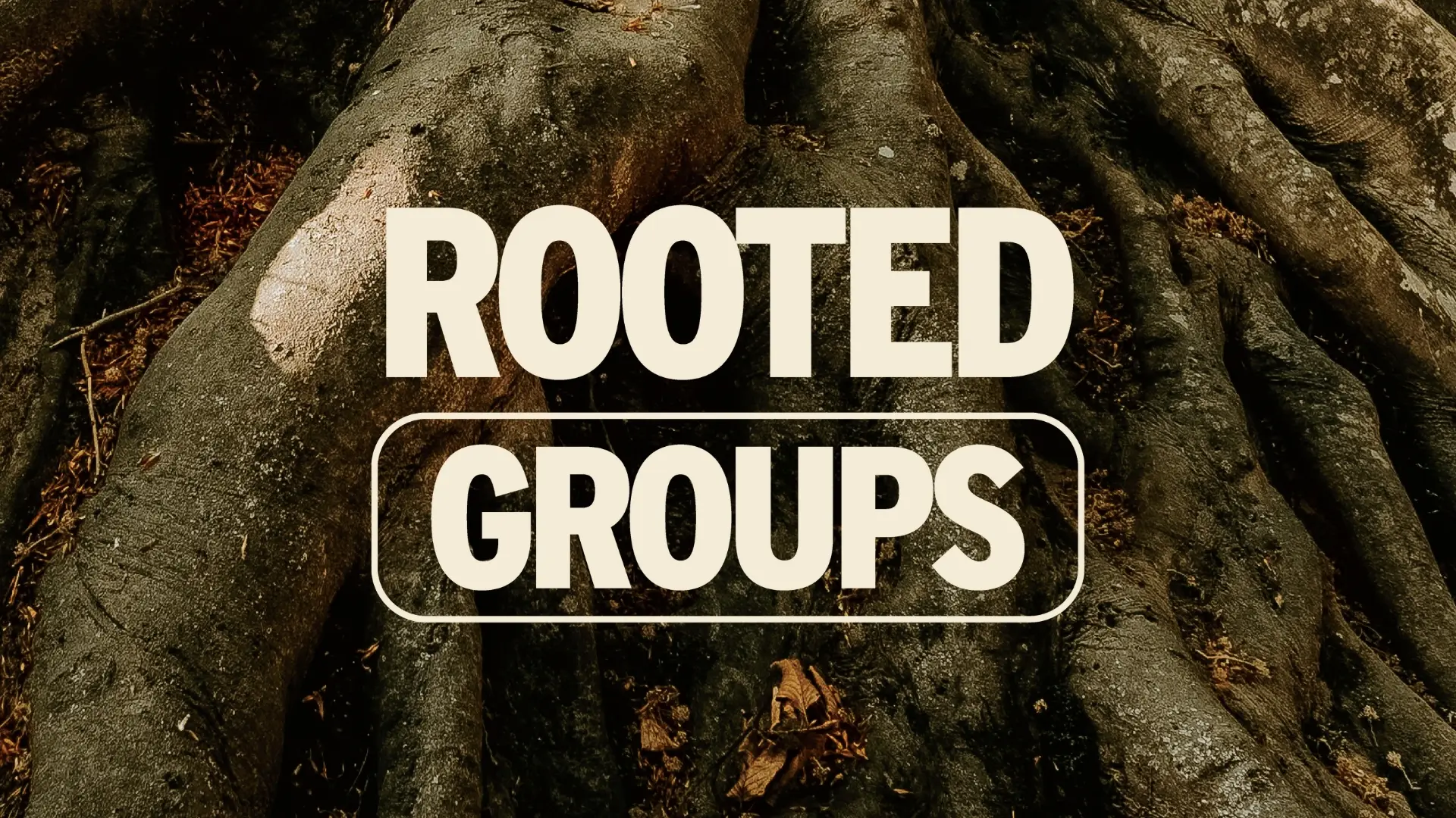 In Person Jan 4 There is More